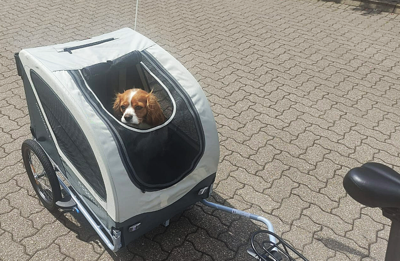 eelo 1885 DISC EXPLORER