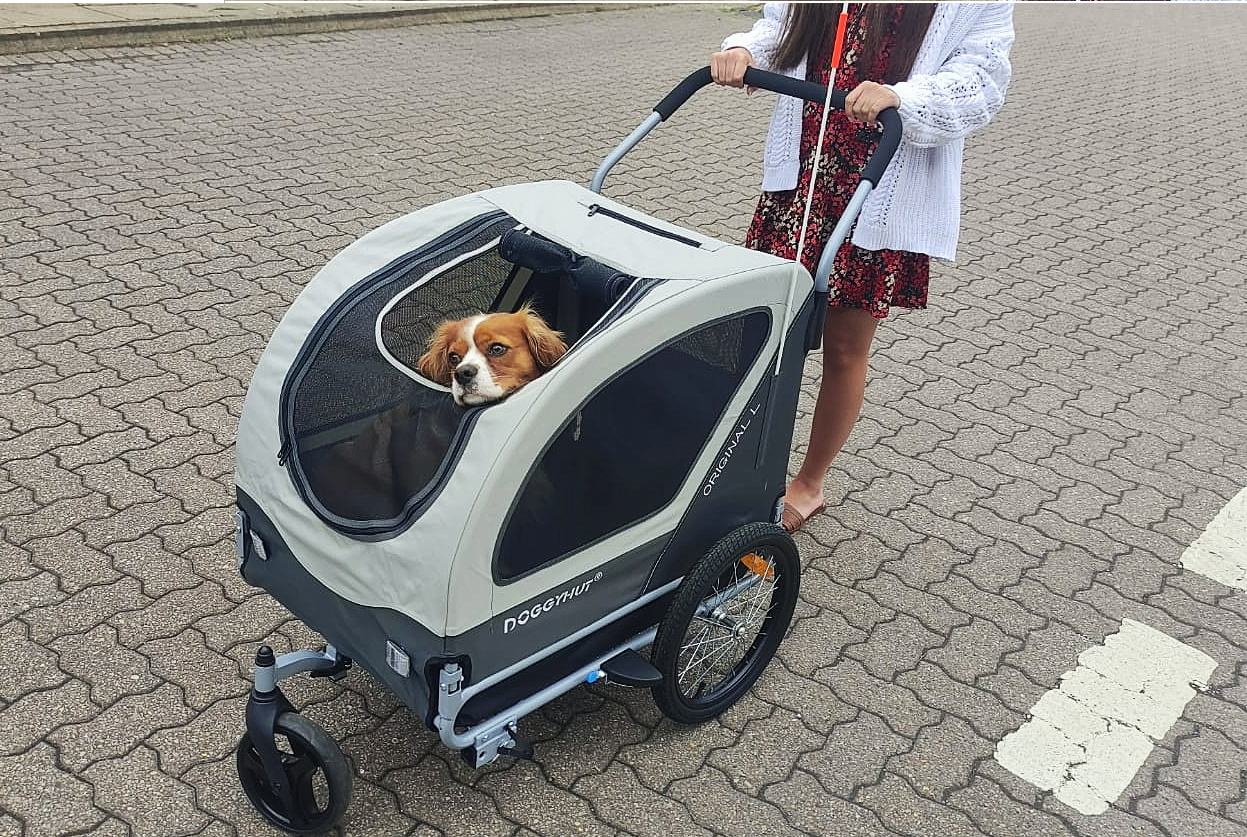 eelo 1885 DISC EXPLORER