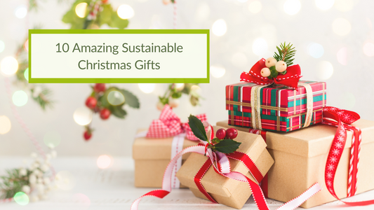 10 Amazing Sustainable Christmas Gifts