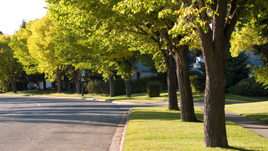 Cleaner Air, Quieter Streets: Community Benefits of Foldable Electric Bikes