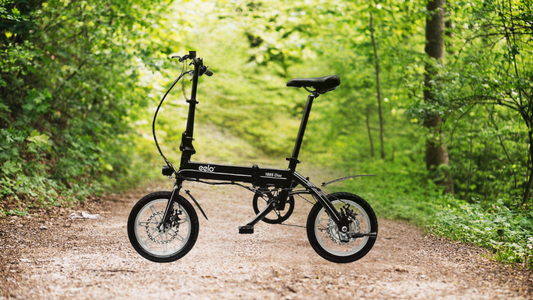 Embrace Eco-Friendly Living in 2025: The Perks of Going Electric with eelo