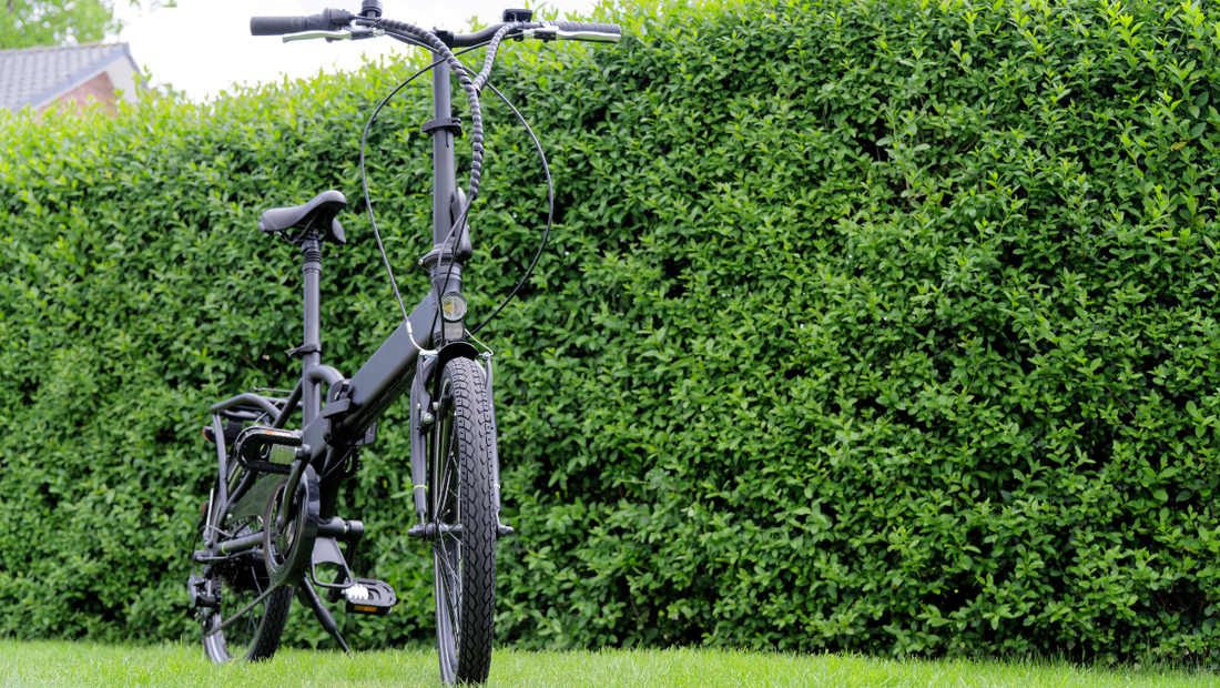 eelo 1885 DISC EXPLORER